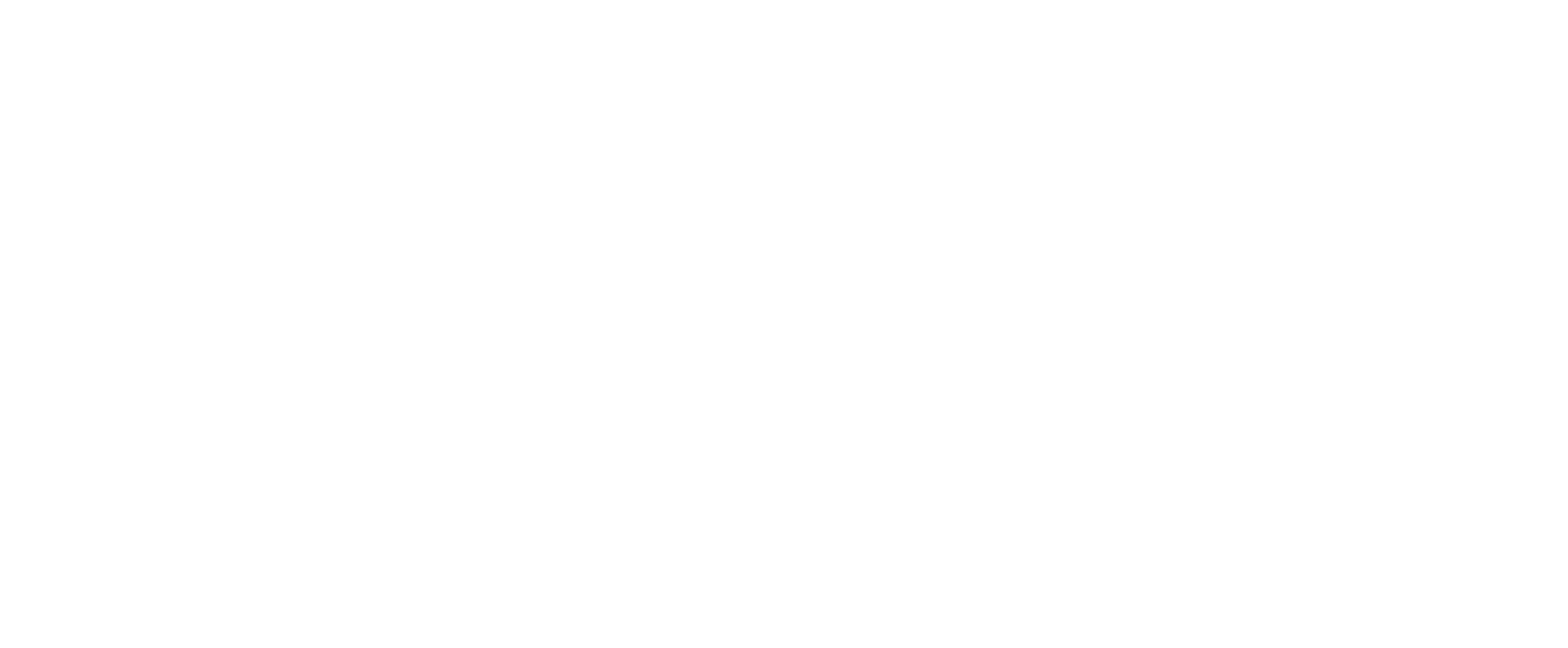 logo-ciclo-academy-branco